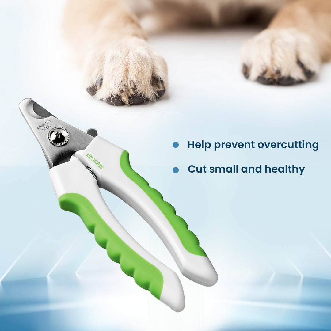 Dog Nail Clipping Tool Dog Sitting Calmly for Nail Trim Close-Up of Dog Nail Person Holding Dog's Paw Andis nail trimming clipper.