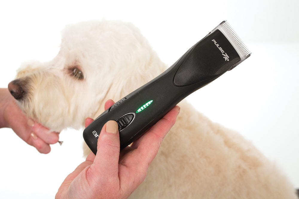 How to Choose the Best Grooming Clippers for your Furry Friend? - abkgrooming