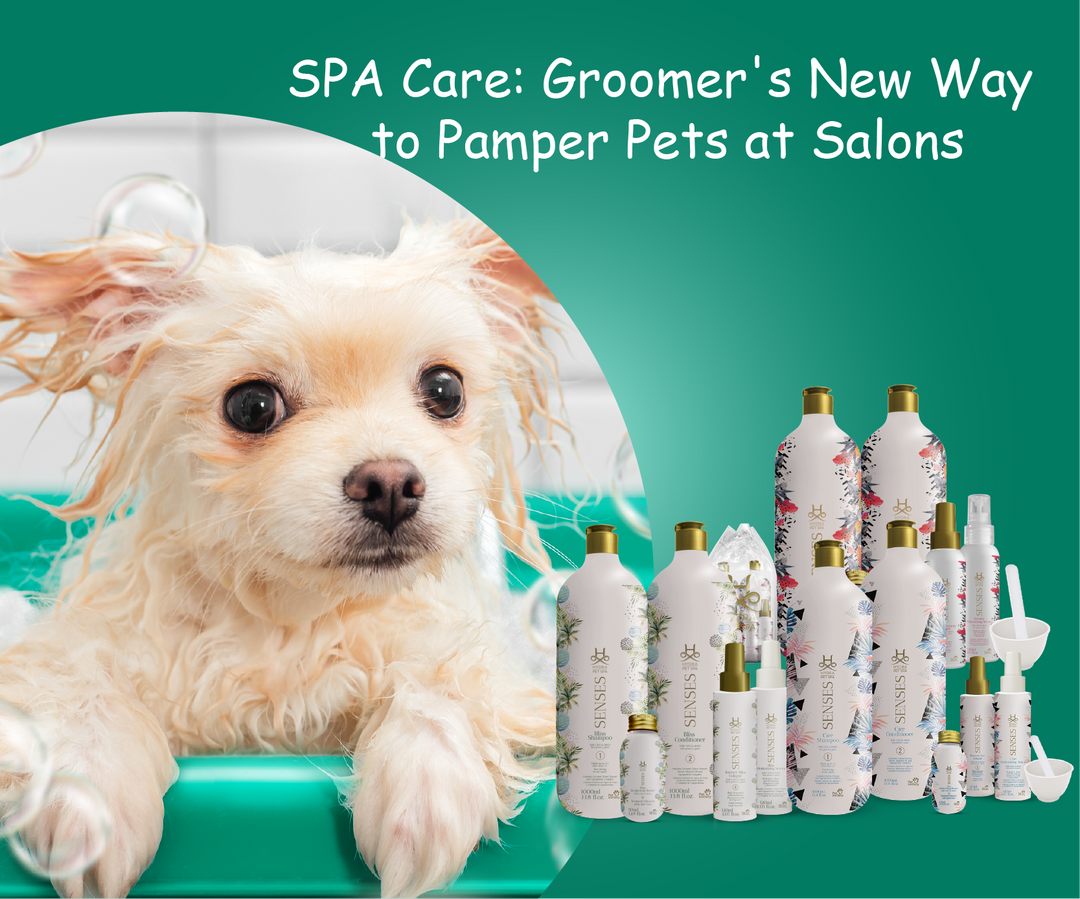 Every Groomers Essential: Hydra SPA Coat Care