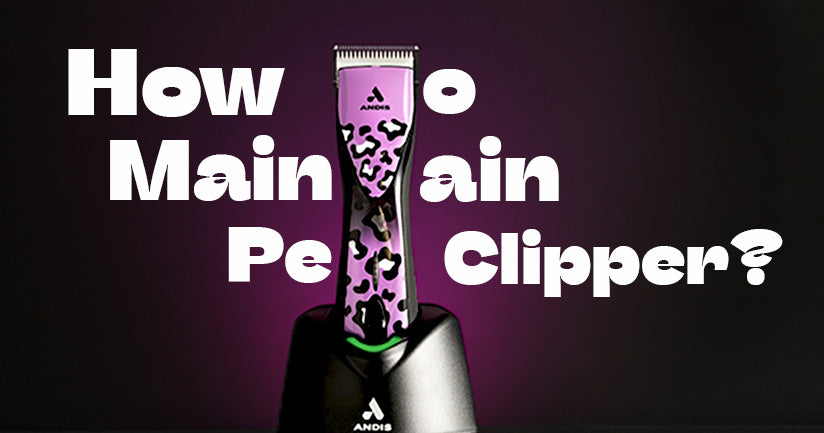 How to Maintain Pet Clippers for Longer Lifespan