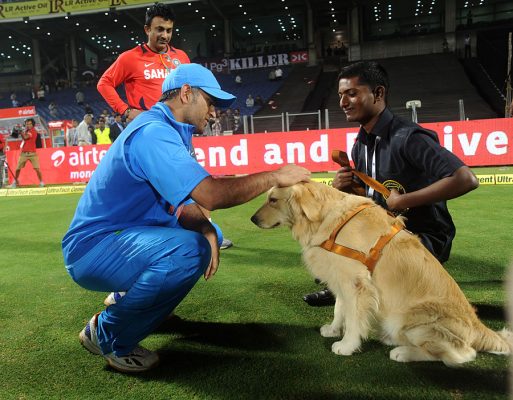 11 Indian Cricketers With Their Four-Legged Superstars - abkgrooming