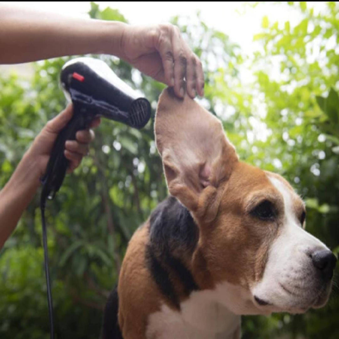 SIX DRYER MAINTENANCE TIPS - abkgrooming