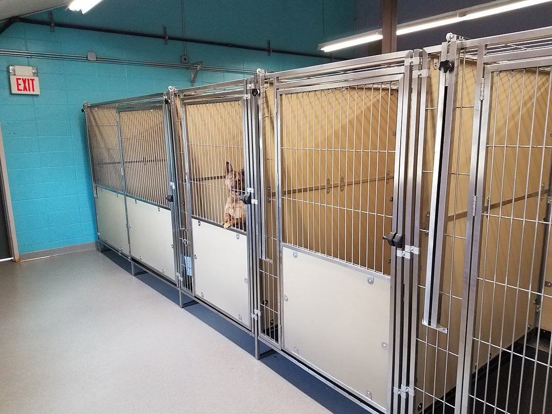 Professional Walk-in Kennel (USKN SERIES) - abkgrooming