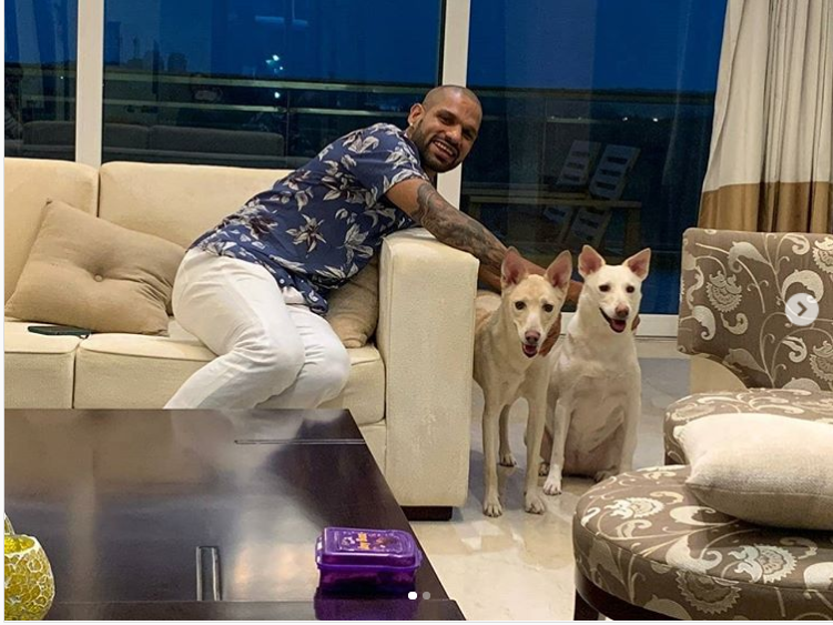 IPL - Indian Pup League, Indian Cricketers And Their Love For Dogs - abkgrooming