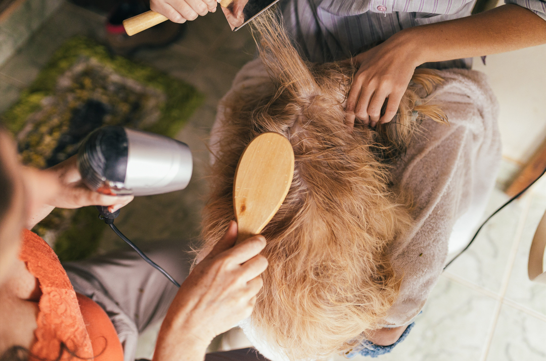 7 Grooming Tools Groomers Wish they Discovered Sooner