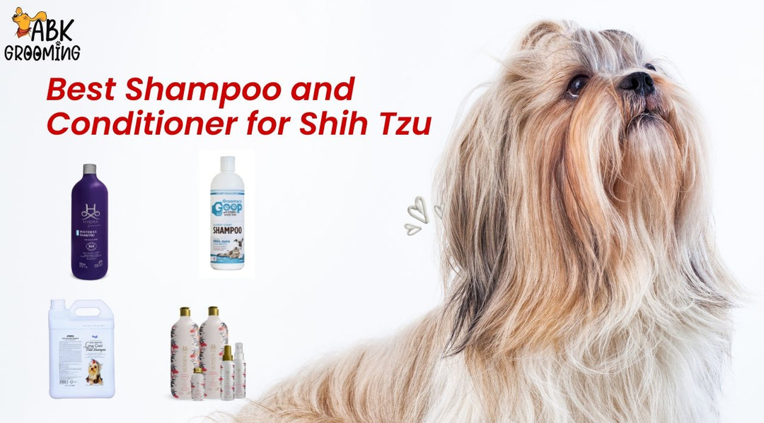 Best shampoo and conditioner for Shih Tzu - ABK Grooming, Best Bathing shampoos for Shih Tzu, Shampoo and Conditioner for Dogs, Best Shih Tzu Shampoo and Conditioner