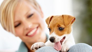 Dogs Prefer Adults — Particularly Women - ABK Grooming