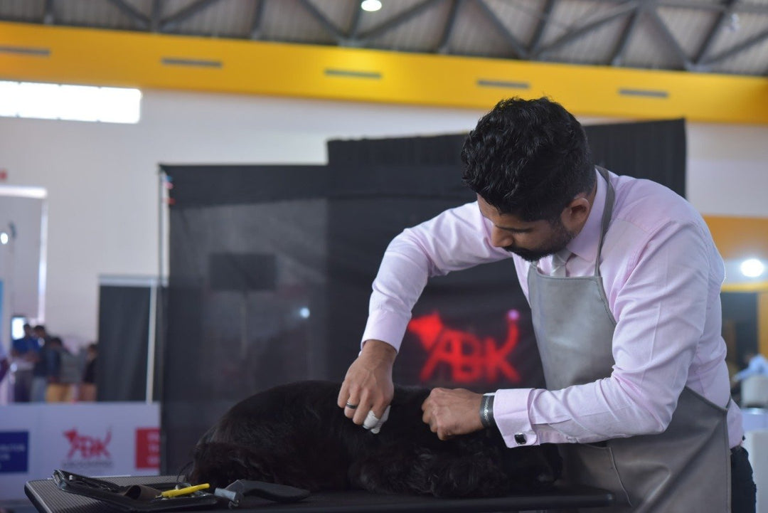 Lockdown Grooming: Guide taking care of your pets at home! | ABK Grooming