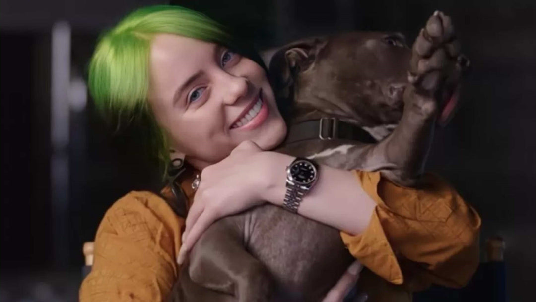 Getting to know the most Famous Celebs with their Dogs