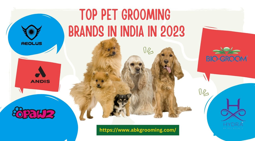 Top Pet Grooming Brands in India in 2023 - ABK Grooming