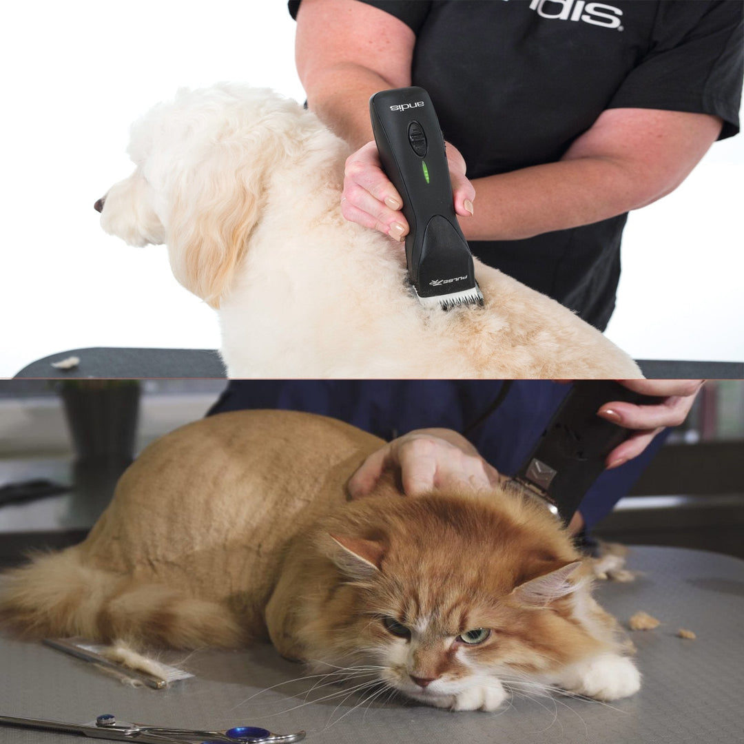 Why You Should Not Use a Dog Blade On Cat - ABK Grooming