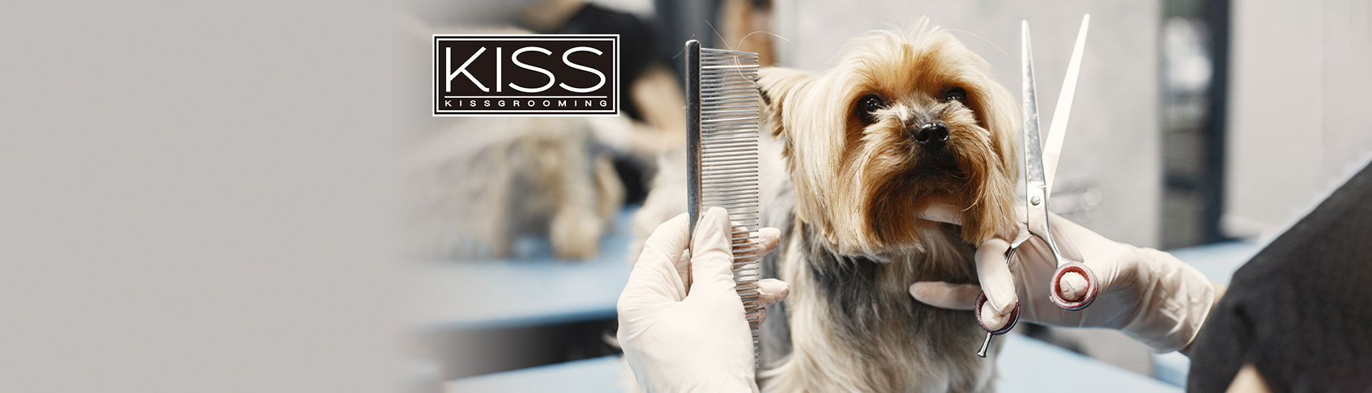 KISS GROOMING TOOLS