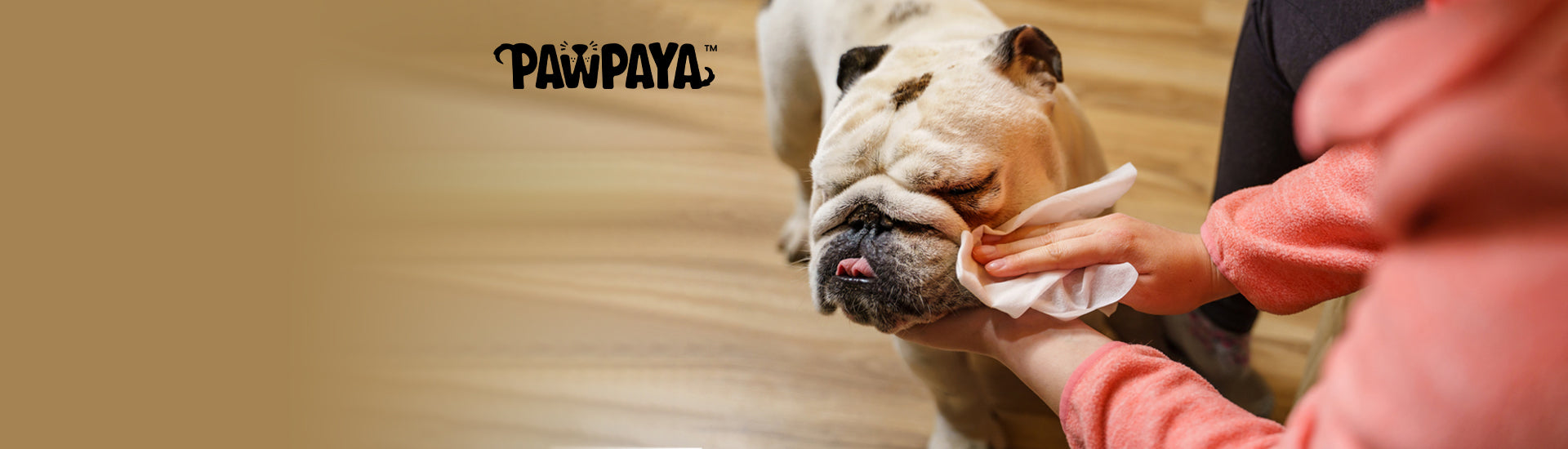 Pawpaya