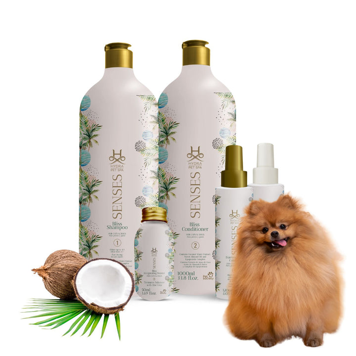 best dog shampoo for shedding, best pet shampoo in, best dog shampoo india, best pet grooming in hyderabad, best pet grooming in bangalore, best dog shampoo in sri lanka, best pet grooming in chennai, best dog shampoo in the philippines, best pet grooming in gurgaon, best pet grooming in kolkata, best dog shampoo in pakistan,best pet shop pune, best pet shop near me, best pet shops in mumbai, best pet shops in nagpur, best pet shop