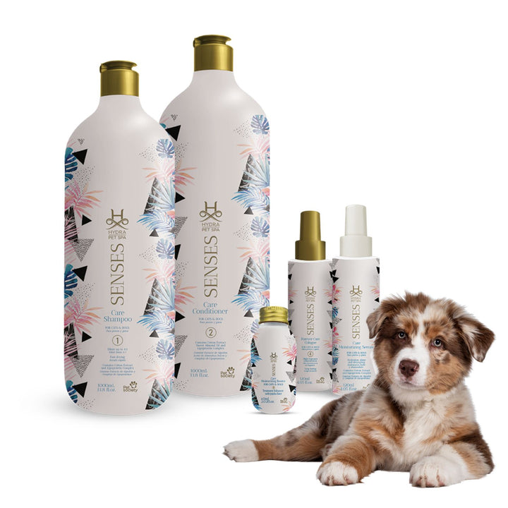 best pet shampoo for dogs, best pet shops in navi mumbai, best pet shop near me for dogs, best pet shop in india, best pet shops in jalgaon, pet condition, pet conditioner, pet conditioner spray, pet conditioner for dogs, pet conditioning spray, pet condition meaning, pet conditioner for cats, pet conditioner near me.
