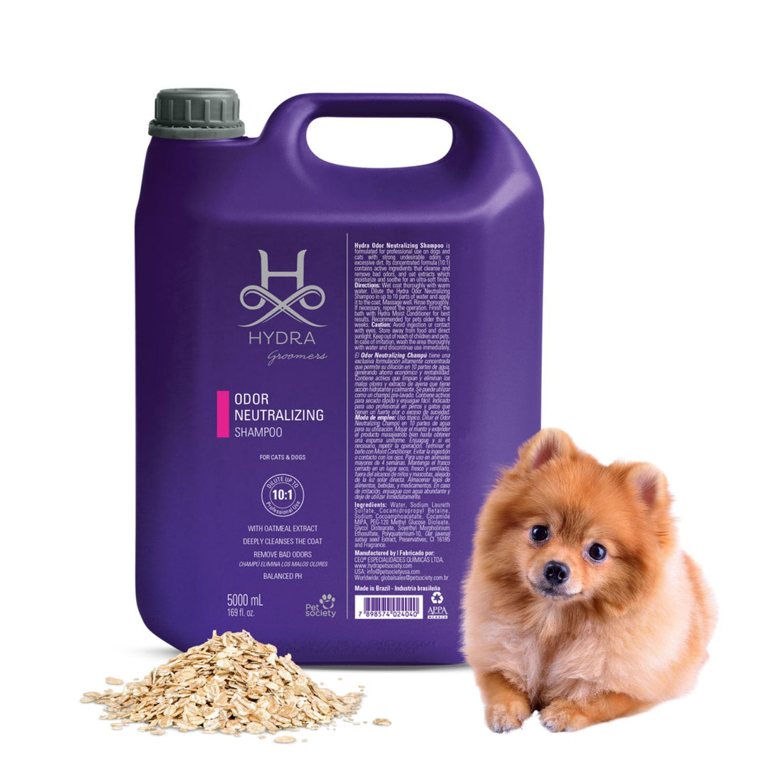 Pet shampoo for dogs, Best Shampoo for dogs in India, Dog Shampoo under 100, Dog Shampoo low price, Top 10 Dog Shampoo in India, Dog Shampoo himalaya, Pet Shampoo for Cats, Lozalo Dog Shampoo, pet shampoo, pet shampoo for cats, pet shampoo for dogs, pet shampoo manufacturers in India, pet shampoo bottle, pet shampoo shop near me, pet shampoo near me, pet shampoo himalaya, pet shampoo and conditioner