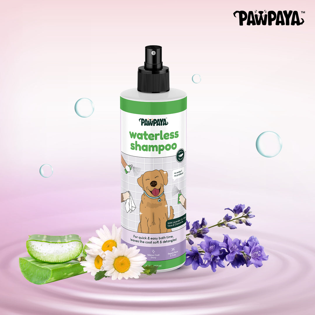 Pawpaya Waterless Shampoo,  250 ml, ABK Grooming, Waterless shampoo for dogs, Best dog shampoo in India, Best dry shampoo for dogs in Pune, Dog shampoo under 300, summer collection dog shampoo, grooming for dogs, Health and wellness, Natural dog shampoo, best-selling dog product, Dry shampoo for summer, Dry shampoo for adult dogs, Best dog shampoo for clean coats,  coat care shampoo for dogs, Dog shampoo low price,  shining coat shampoo, waterless shampoo for dogs in India, 