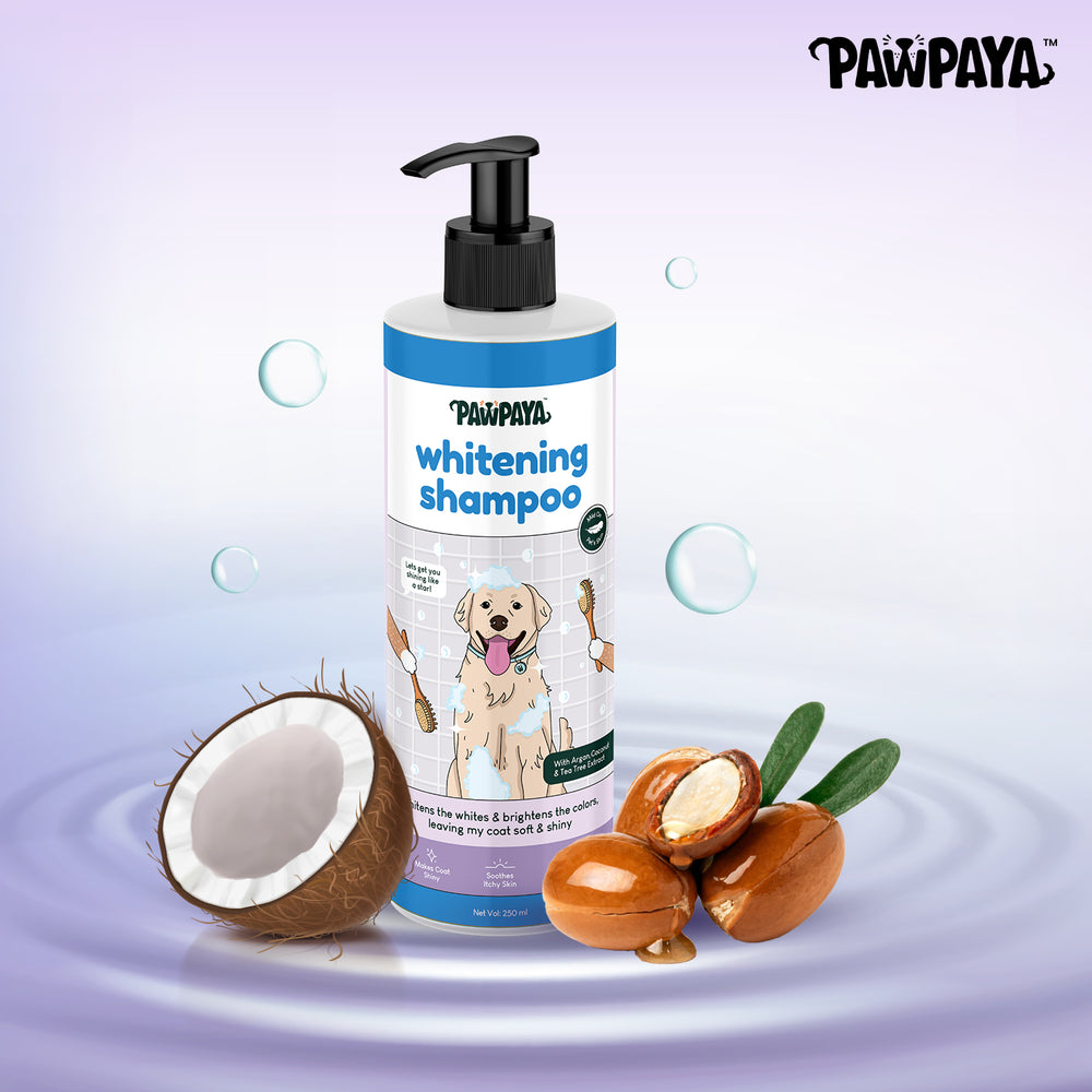 Pawpaya Whitening Dog Shampoo (PP1206): dry skin pet shampoo, itchy skin pet shampoo, flea and tick shampoo, organic pet shampoo, natural pet shampoo, sensitive skin pet shampoo, shampoo for dogs, shampoo for cats, whitening coat shampoo for dogs, best whitening shampoo for dogs, whitening dog shampoo in India
