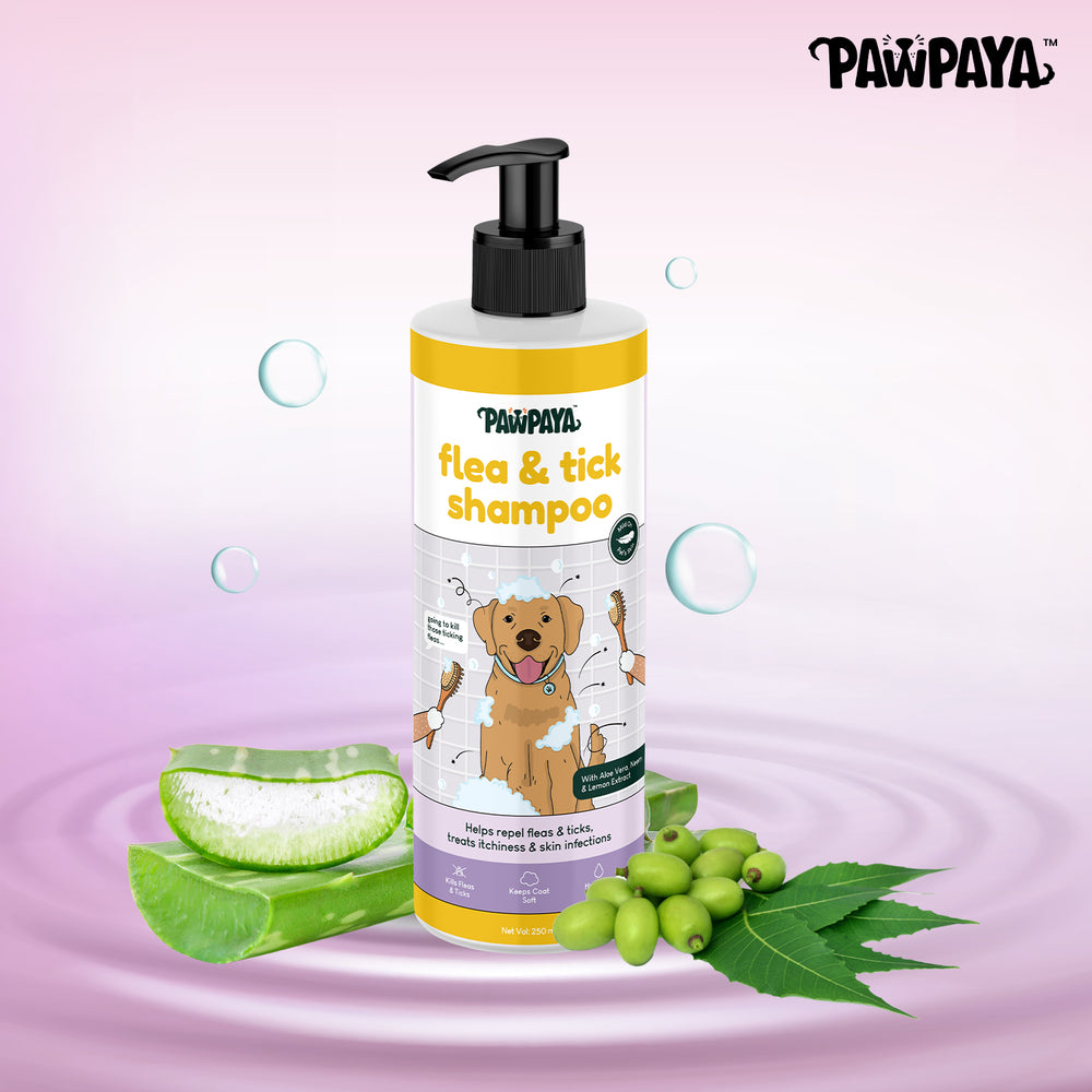 Pawpaya Flea & Tick Shampoo natural formula, kills fleas & ticks, repels mosquitoes, and leaves fur feeling soft and healthy. Shop Now at ABK Grooming (India)!, Anti-itch dog shampoo for India, natural anti-itch dog shampoo, anti-itch shampoo for pets homemade, anti-itch shampoo for natural hair, anti-itch shampoo for dogs