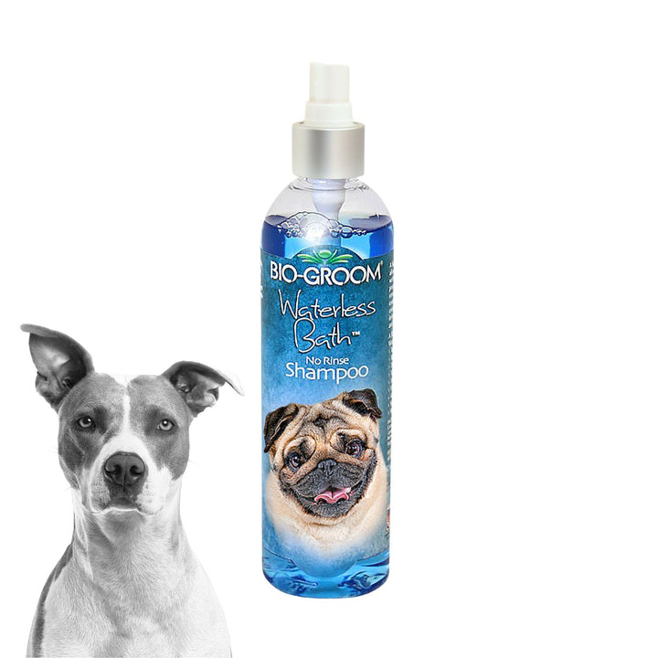 bio groom shampoo reviews, bio groom shampoo super white, bio groom shampoo cat, bio groom shampoo for shih tzu, bio groom shampoo and conditioner, bio groom shampoo nearby, bio groom shampoo amazon, bio groom shampoo puppies, bio groom shampoo black, biogroom pets, bio groom pet shampoo, bio groom shampoo