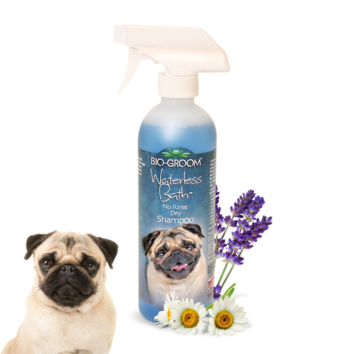 bio groom waterless dog shampoo, bio groom super white dog shampoo, bio groom super whitening dog shampoo, bio groom ultra black dog shampoo, bio groom flea & tick dog shampoo, bio-groom natural oatmeal dog shampoo, bio groom oatmeal dog shampoo, bio groom black.dog.shampoo, cat Biogroom shampoo