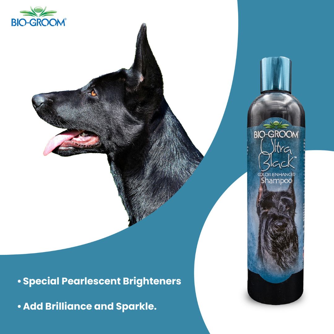 Bio-Groom Ultra Black Colour Enhancing Pet Grooming Shampoo for Cats and Dogs, 355 ml