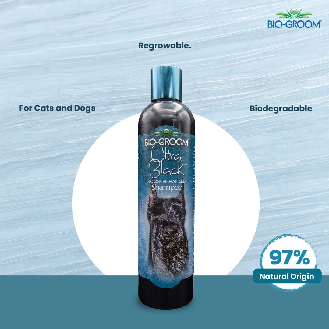 Bio-Groom Ultra Black Colour Enhancing Pet Grooming Shampoo for Cats and Dogs, 355 ml