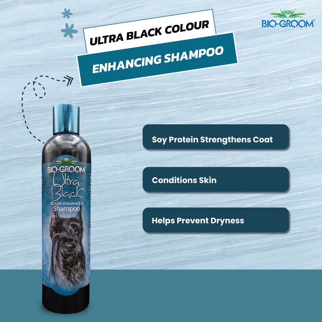 Bio-Groom Ultra Black Colour Enhancing Pet Grooming Shampoo for Cats and Dogs, 355 ml