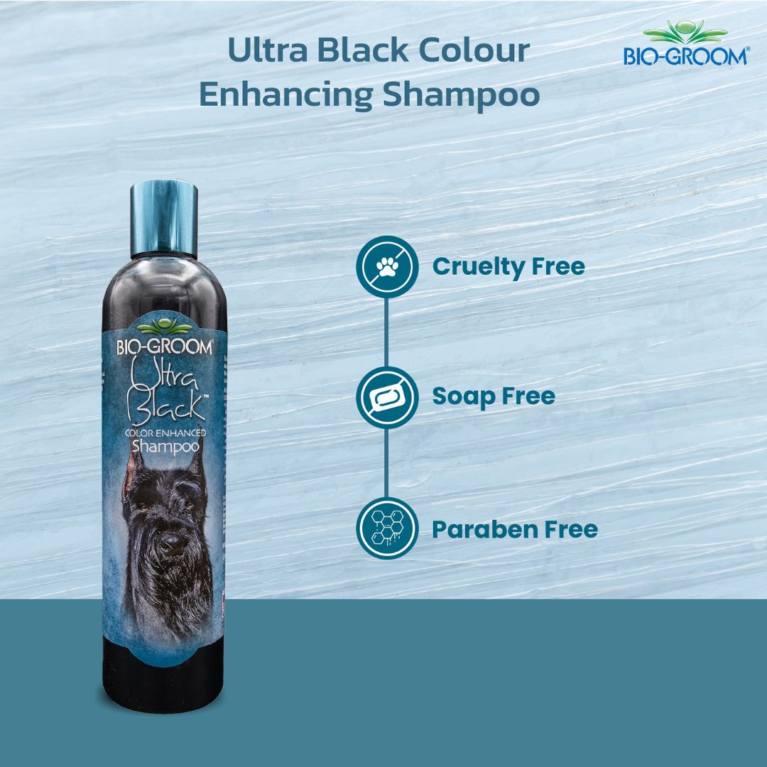 Bio-Groom Ultra Black Colour Enhancing Pet Grooming Shampoo, Pet shampoo, Shampoo for dogs and cats, Safe for puppies and kittens, Shampoo suitable for dogs and cats of all breeds, Bio groom Shampoo, Best Pet grooming shampoo, affordable pet bathing shampoo, Cruelty free pet shampoo Bio Groom Colour Enhancing Shampoo, Best Puppy Shampoo for Fleas, Dog Shampoo, Colour Enhancing Pet Bathing Shampoo, Clean and smooth coat, Fresh Smell shampoo