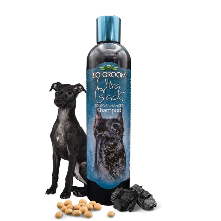 Bio-Groom Ultra Black Colour Enhancing Pet Grooming Shampoo for Cats and Dogs, 355 ml