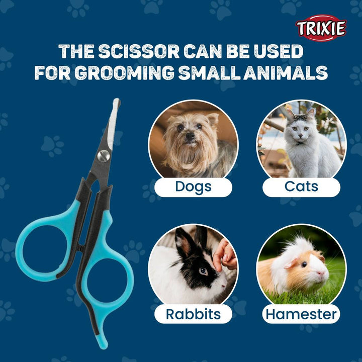 pet grooming kit with scissors, pet grooming kit with shears, pet grooming kit with thinning shears, pet grooming kit with straight shears, pet grooming kit with curved shears, pet grooming kit with scissors and combs, pet grooming kit with scissors and brushes, pet grooming kit with scissors and clippers, pet grooming kit with scissors and deshedding tools, professional pet grooming kit with scissors, salon-quality pet grooming kit with scissors, home pet grooming kit with scissors