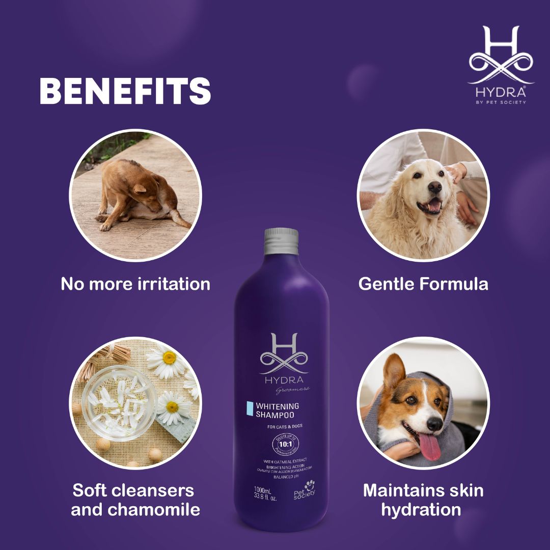 Best in India pet shampoo, Healthy coa dog shampoo, Shining coat dog shampoo, online dog shampoo, sulfate free dog shampoo, Cat shampoo online