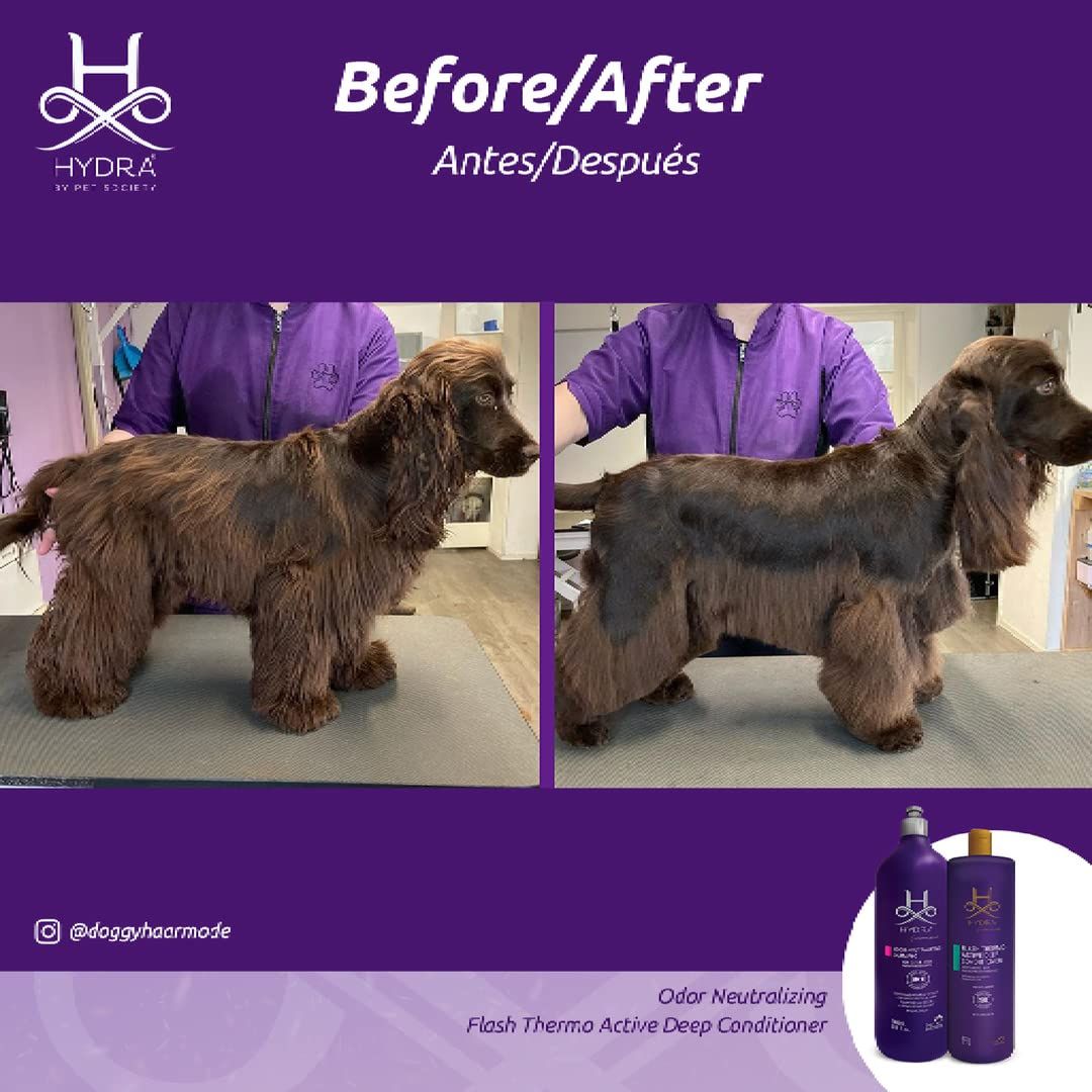 Hydra Groomer’s Flash Active Deep Conditioner for Pets