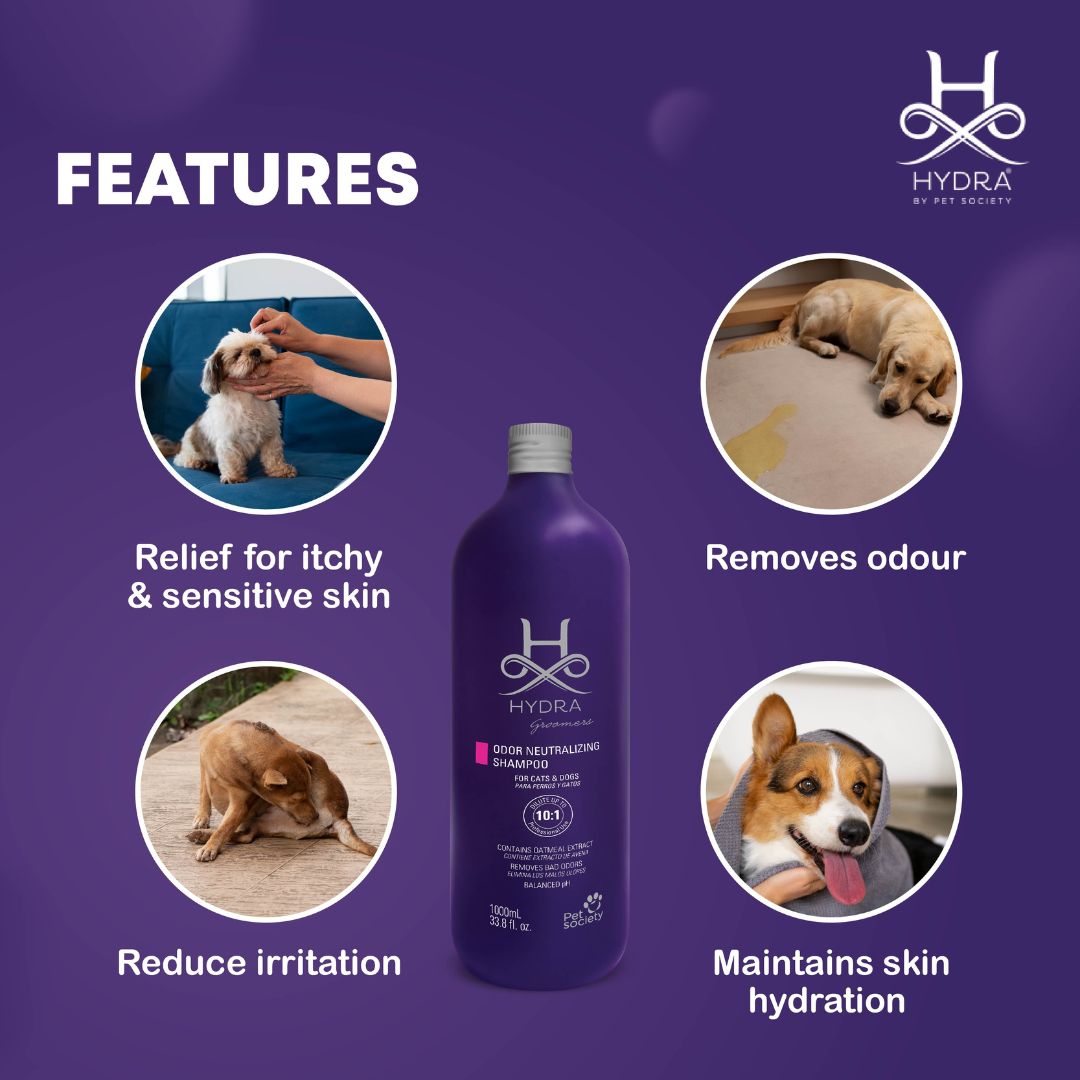 Hydra Profesional Odour Neutralizing Pet ShampooABK Grooming , Natural dog shampoo, Popular dog shampoo in India, Popular dog shampoo in 2024, pH balanced dog shampoo, Shampoo and conditioners collections, safe for pets Dog shampoo for adult dogs, Odorless dog shampoo, Best dog shampoo in India