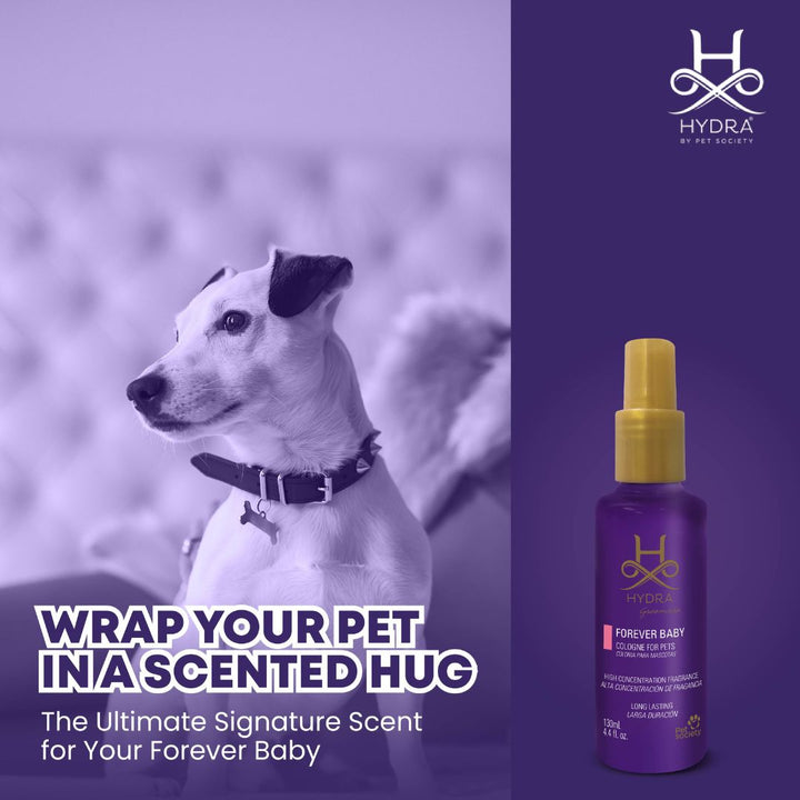 Fruity floral scent pet cologne - Pet grooming business products, best pet grooming cologne, dog grooming products bulk buy, patchouli pet cologne, pet-friendly fragrance, best deals on pet grooming, grooming essentials, top pick of 2024