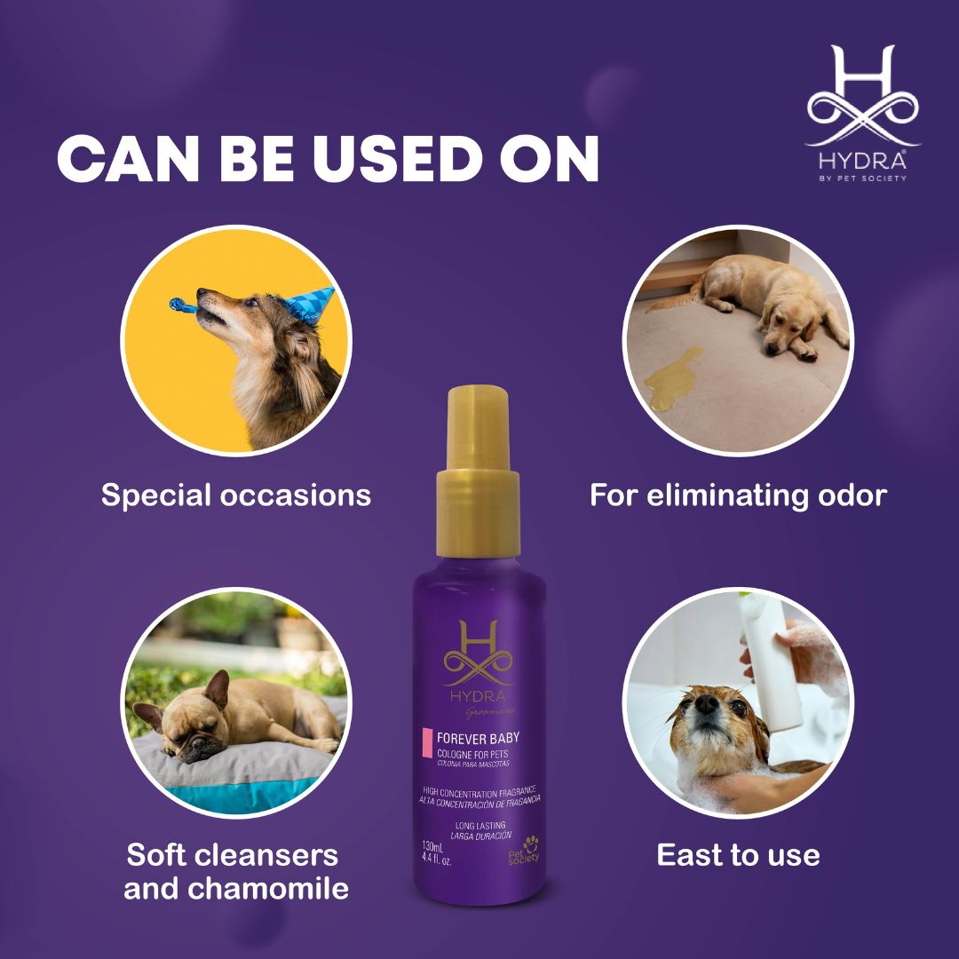 Made from dog-safe ingredients - Dog grooming finishing spray, pet-friendly cologne, dog hair detangler spray homemade, best price pet cologne, recommended in 2024, grooming essentials, dog grooming products best, grooming spray