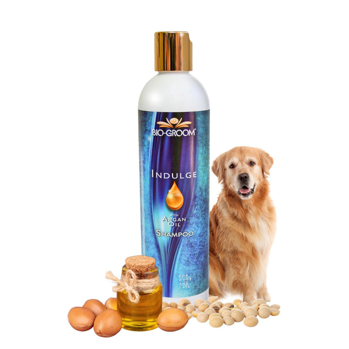 bio-groom natural oatmeal dog shampoo, bio groom oatmeal dog shampoo, bio groom black.dog.shampoo, cat Biogroom shampoo, bio groom cat shampoo, bio groom purrfect white cat shampoo, do pet groomers groom cats, do pet groomers wash cats, can i wash cat with shampoo, cat shampoo vs human shampoo, how do groomers groom a cat, bio groom shampoo, bio groom pet shampoo