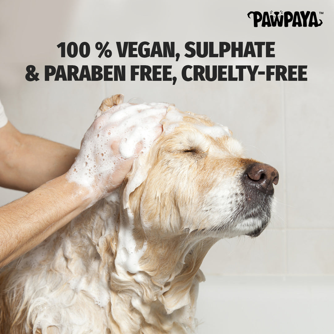 Pawpaya Waterless Shampoo,  250 ml, ABK Grooming, Waterless shampoo for dogs, Best dog shampoo in India, Best dry shampoo for dogs in Pune, Dog shampoo under 300, summer collection dog shampoo, grooming for dogs, Health and wellness, Natural dog shampoo, best-selling dog product, Dry shampoo for summer, Dry shampoo for adult dogs, Best dog shampoo for clean coats, coat care shampoo for dogs, Dog shampoo low price, shining coat shampoo, paraben free dog shampoo, vegan dog shampoo, sulphate free dog shampoo