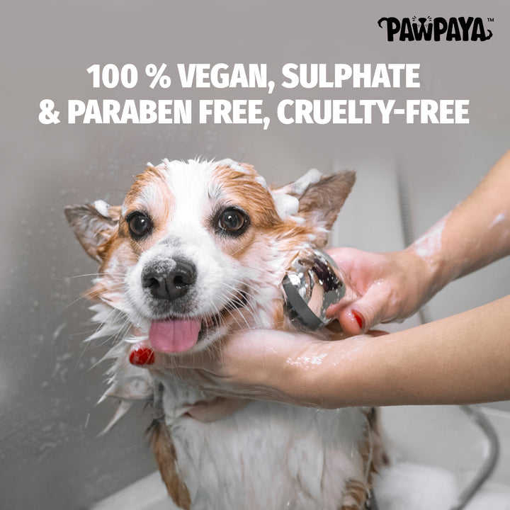 Pawpaya Long Coat Shampoo,  250 ml, ABK Grooming, Long coat shampoo for dogs, Best long coat shampoo in India, Natural dog shampoo, Shampoo for adult dogs, Shampoo for labs 2024, Dog shampoo with good reviews 2024, Long coat shampoo under 500, Under 500 dog shampoo,