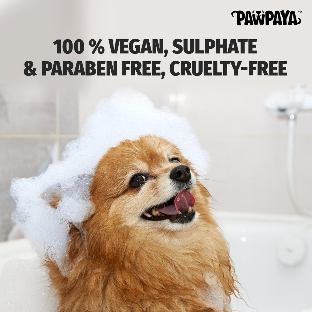 Pawpaya Short Coat Shampoo,  250 ml, , Short coat shampoo for dogs, Dog shampoo for short coat, natural dog shampoo in India 2024, gentle dog shampoo online, Buy best dog shampoo for large dogs, summer collections, sulfate free shampoo, paraben free dog shampoo, shiny coat shampoo,sulphate and paraben free shampoo