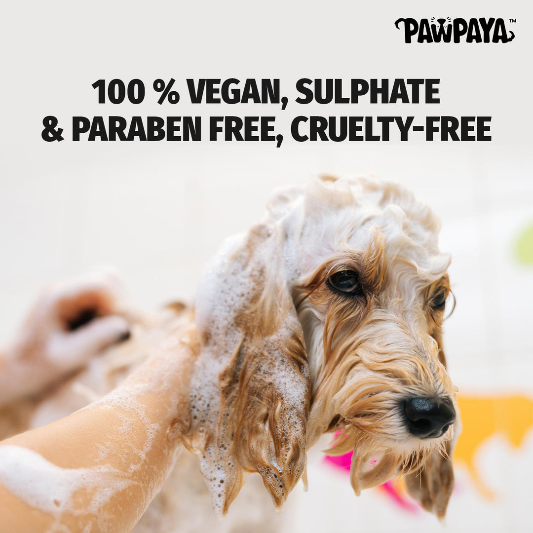 Pawpaya Flea & Tick Shampoo: Natural formula with aloe vera, neem, and lemon extract kills fleas & ticks, soothes itchy skin, and repels mosquitoes. Shop at ABK Grooming (India), tick and flea dog shampoo in India reviews, best tick and flea shampoo for dogs in India, tick and flea shampoo for dogs in amazon. 