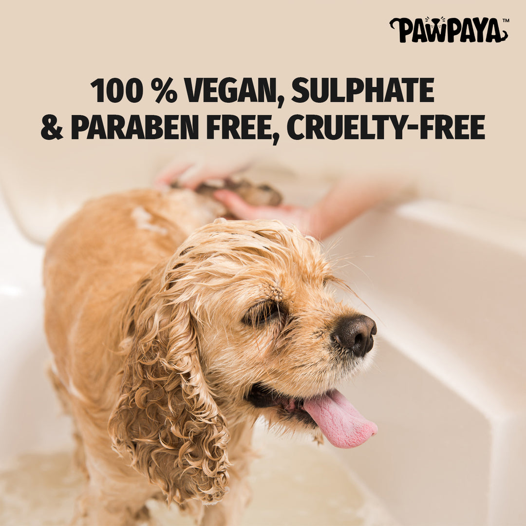 ABK Grooming, Pawpaya Silky Hair conditioner, shampoo for adult dogs, Dog shampoo in India, Natural dog conditioner, shampoo and conditioners collection, vegan dog shampoo in Pune, Sulphate free shampoo, paraben free shampoo, silky coat conditioner, summer dog conditioner and shampo