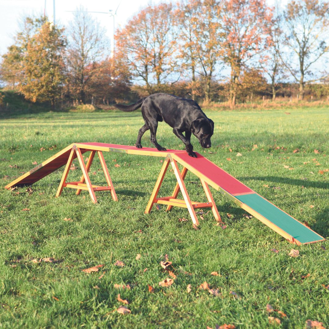 Trixie Dog Agility Training Ramp Walk