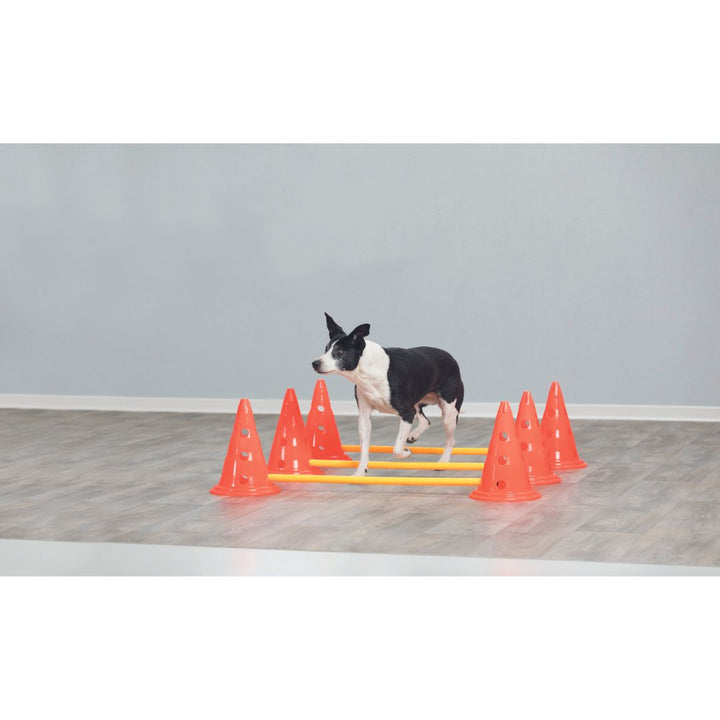 A person holding a Trixie Pylon while setting up an agility course, demonstrating the ease of use