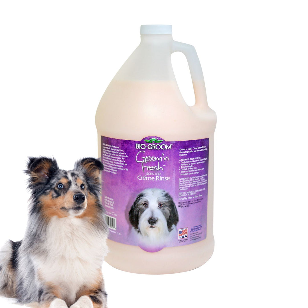 bio groom pet shampoo, bio groom dog shampoo reviews, bio groom dog spray, bio groom super white pet shampoo, what is bio sponge for dogs, pet care bio examples, grooming pet near me, bio groom shampoo, bio groom super white shampoo, bio groom cat shampoo, pet Biogroom shampoo, bio groom pet shampoo, bio groom super white pet shampoo, what shampoo does petco use for grooming, what shampoo does petsmart use for grooming, bio groom shampoo, bio groom shampoo cat, bio groom super white shampoo, dog Biogroom sh