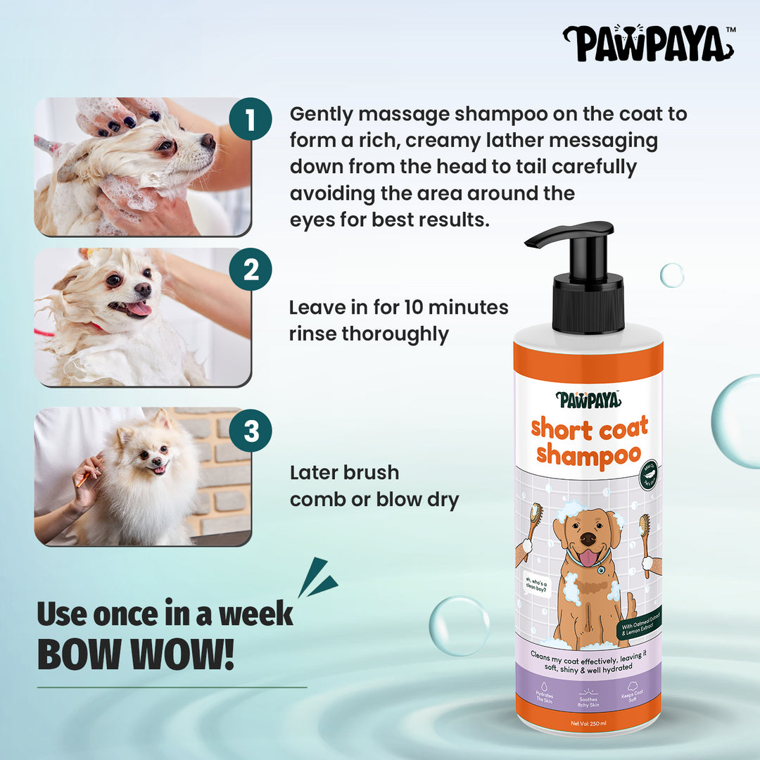 Pawpaya Short Coat Shampoo,  250 ml, Short coat shampoo for dogs, Dog shampoo for short coat, natural dog shampoo in India 2024, gentle dog shampoo online, Buy best dog shampoo for large dogs, summer collections, sulfate free shampoo, paraben free dog shampoo, shiny coat shampoo,, Dog shampoo for summr, Pune best dog shampoo, Dog shampoo in Pune online