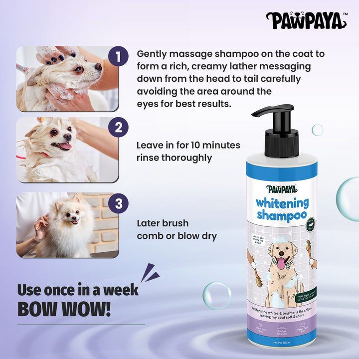 Pawpaya Whitening Dog Shampoo, brightens white coats, Soothes itchy skin for a healthy, radiant glow! Shop Now at ABK Grooming (India), hartz whitening dog shampoo, white dog shampoo uk, white dog shampoo & conditioner, dog shampoo for white coat, dog shampoo for white coat reviews