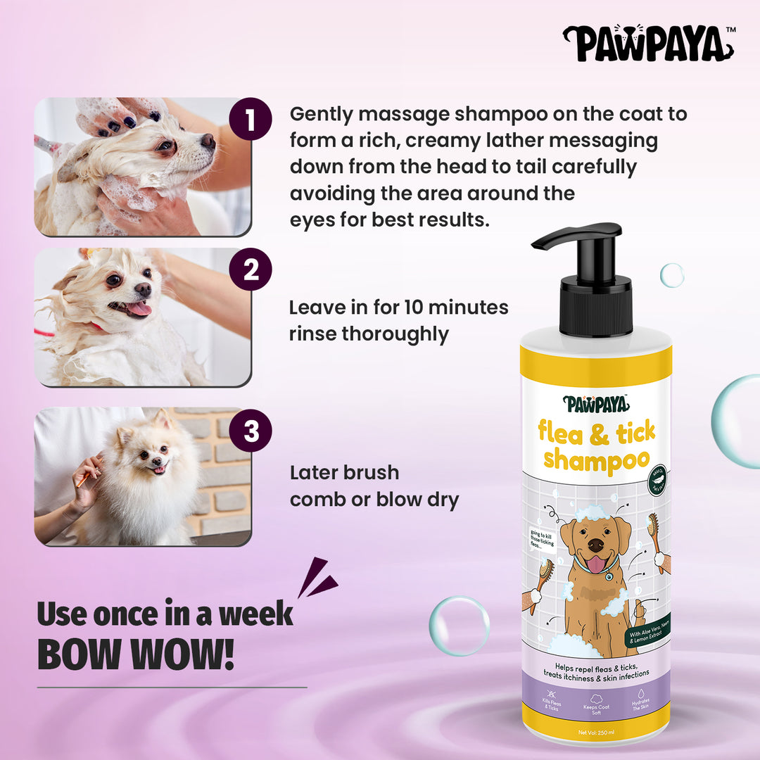 Happy, itch-free pup! Pawpaya Flea & Tick Shampoo provides natural relief from fleas, ticks, and itchy skin. Shop paraben-free formula at ABK Grooming (India), ticks and flea shampoo for dogs in India, best tick and flea spray for dogs, tick free shampoo for dogs.