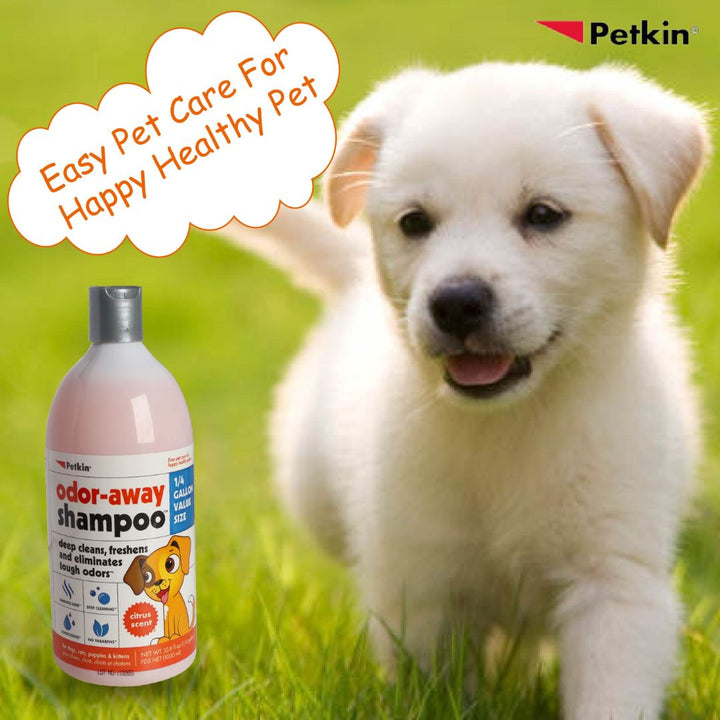 Petkin Odor-Away Shampoo (5552): Deep cleans & eliminates tough odors with a refreshing citrus scent! Gentle formula free of parabens. Shop Now at ABK Grooming (India)!