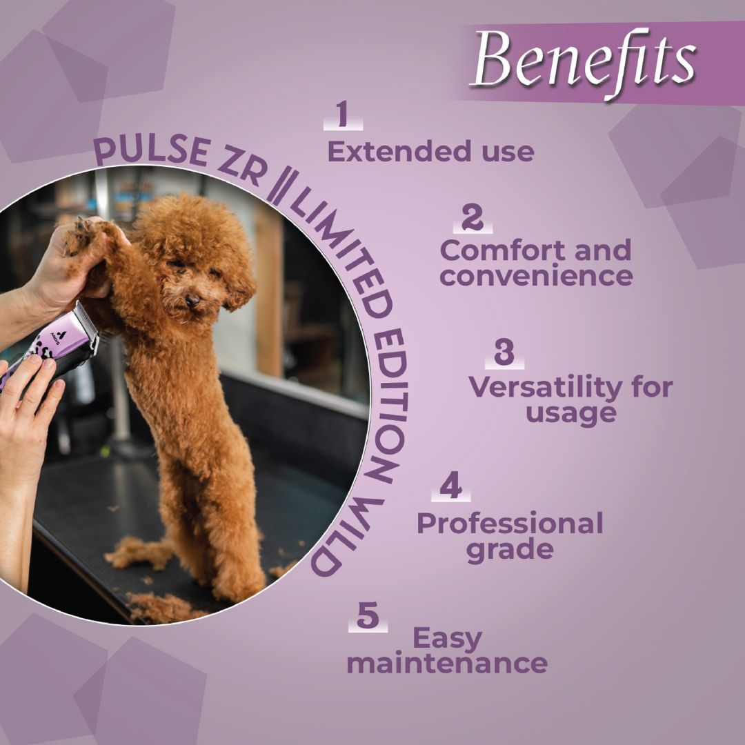 quiet pet clippers, best pet clippers, cheap pet clippers, dog grooming clippers for home use, best clippers for small dogs cordless pet clippers, professional pet clippers, electric pet clippers, cat nail clippers and clipper, pet clippers for thick fur